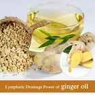 Lymphatic Drainage Ginger Massage Oil – Herbal Body Therapy Oil for Relaxation & Skin Care