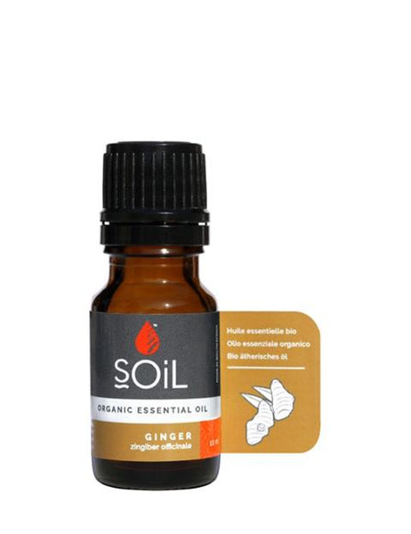 Organic Ginger Essential Oil 10ml – 100% Pure Steam Distilled Aromatherapy Oil for Massage, Diffusers & Wellness